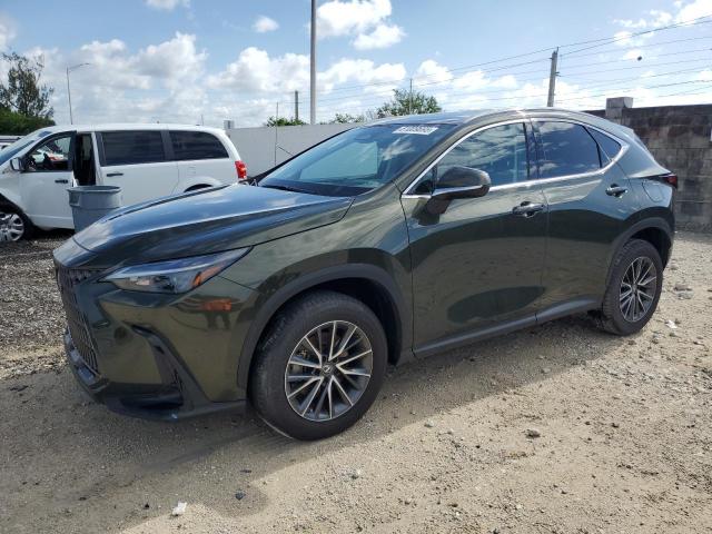 LEXUS NX 350 2022