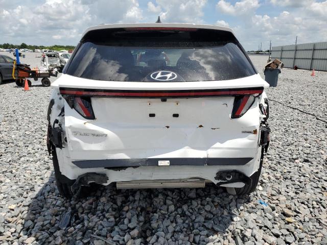  HYUNDAI TUCSON 2024 Biały