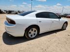 2019 Dodge Charger Sxt იყიდება Amarillo-ში, TX - Hail