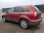2009 Honda Cr-V Exl en Venta en Woodhaven, MI - Normal Wear