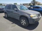 2006 Ford Escape Xlt   за продажба в San Martin, CA - Rear End