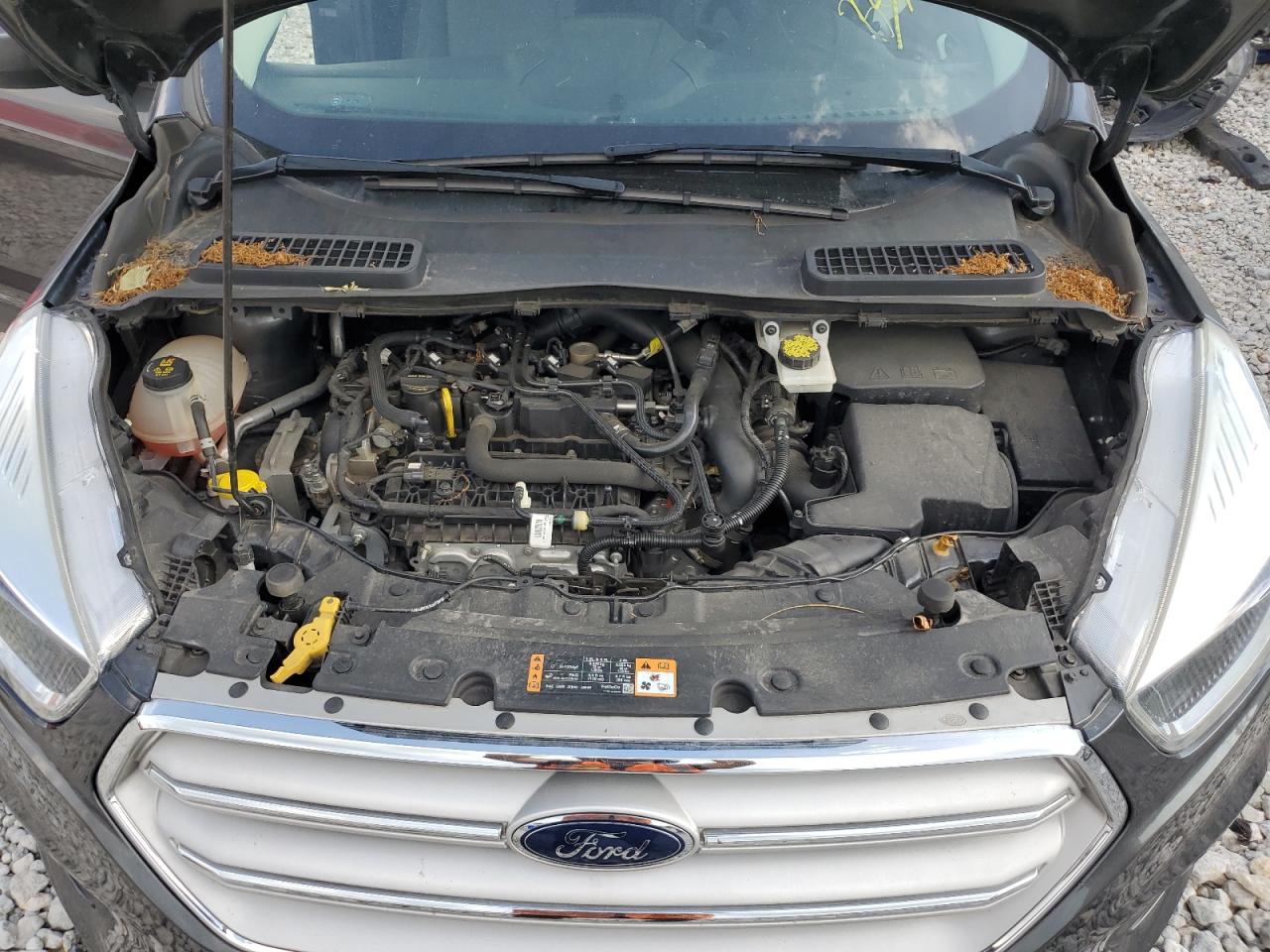 FORD ESCAPE 2019 VIN 1FMCU9GDXKUB30793 фото 12