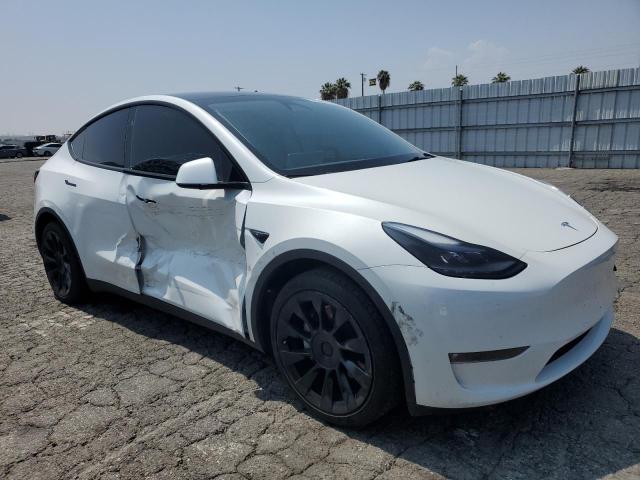  TESLA MODEL Y 2023 White