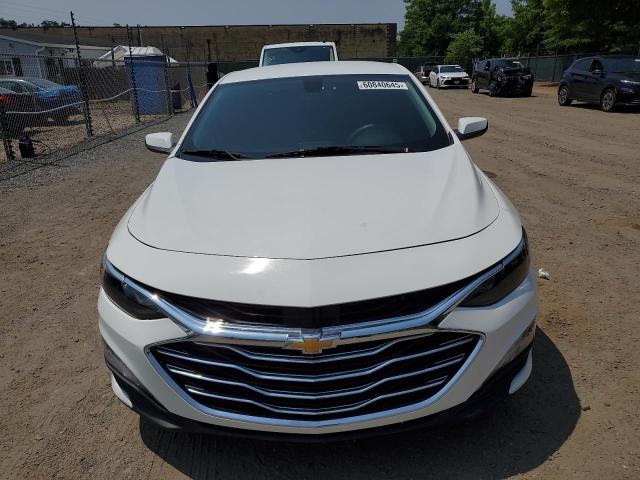  CHEVROLET MALIBU 2019 White