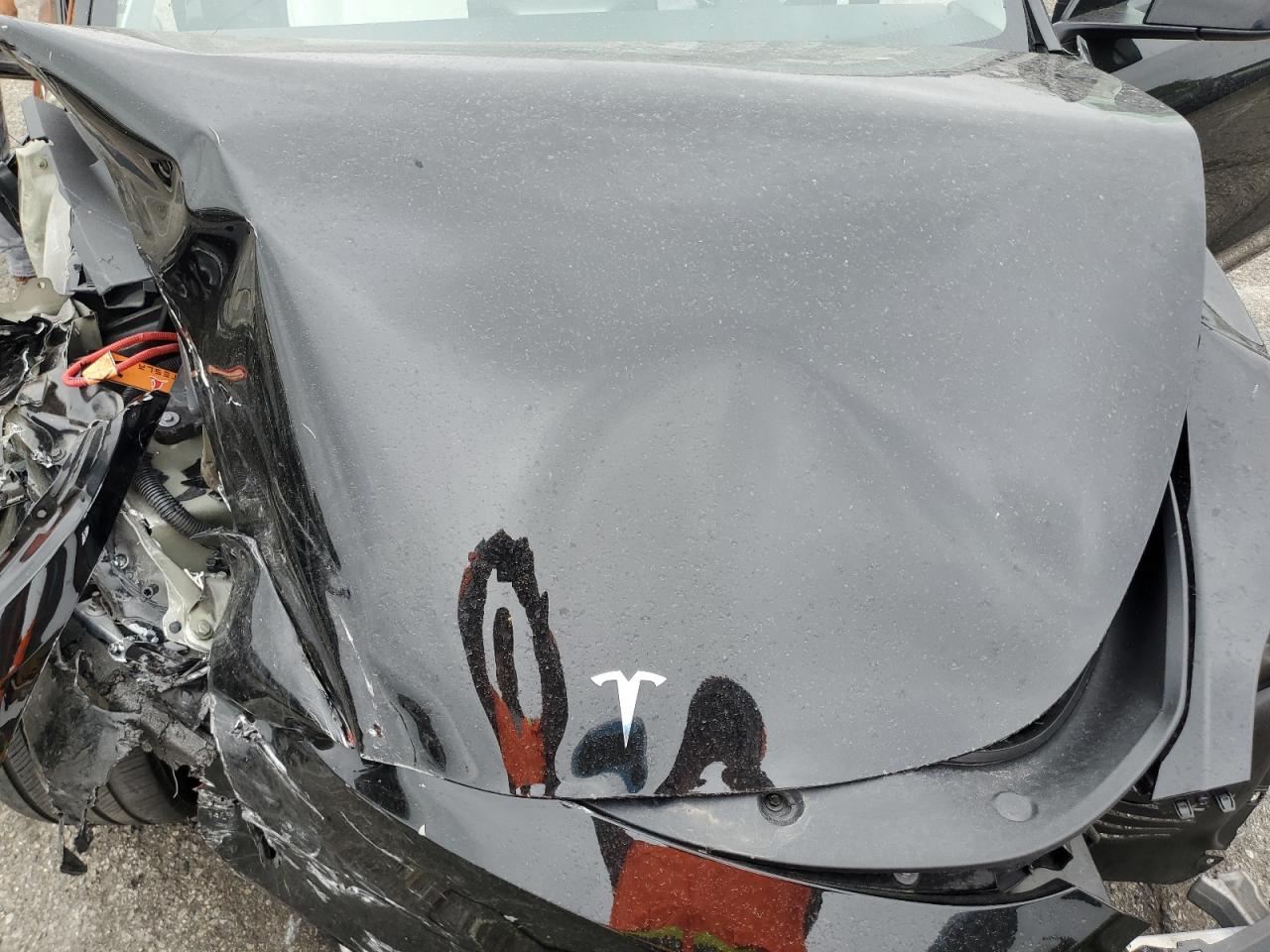 2024 Tesla Model Y VIN: 7SAYGDEF8RA295575 Lot: 59589735