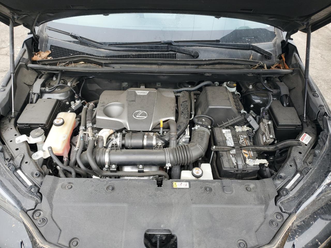 2020 Lexus Nx 300 VIN: JTJDARBZ3L5007964 Lot: 58814485