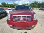 2011 Cadillac Escalade Premium de vânzare în Theodore, AL - Rear End