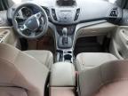 2014 Ford Escape Se   للبيع في Spartanburg، SC - Side