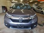 2019 Honda Cr-V Exl   en Venta en Ham Lake, MN - Hail