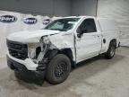 2023 Chevrolet Silverado C1500 zu verkaufen in Ham Lake, MN - All Over