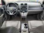 2009 Honda Cr-V Exl en Venta en Woodhaven, MI - Normal Wear