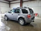 2008 Ford Escape Xlt for Sale in Albany, NY - Front End