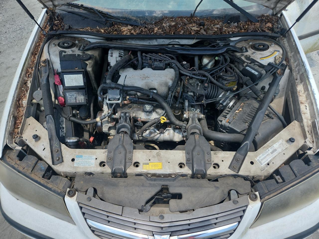 2000 Chevrolet Impala VIN: 2G1WF55E8Y9143184 Lot: 52803645