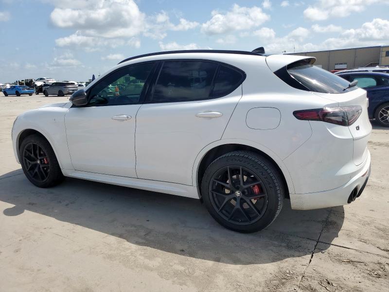 ALFA ROMEO STELVIO 2021 Белы