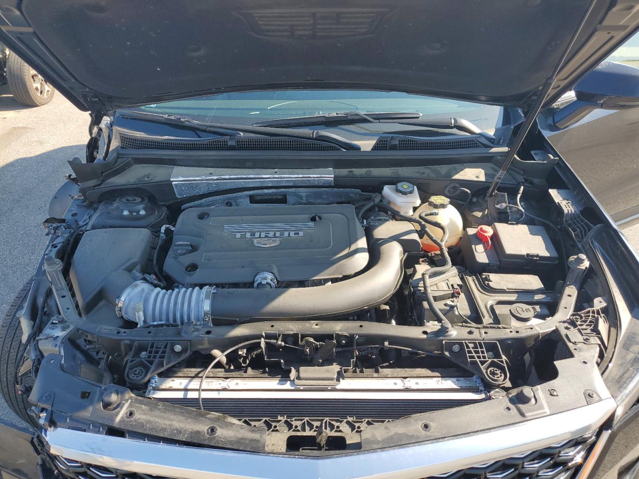 2024 Cadillac Xt4 Premium Luxury VIN: 1GYFZDR42RF184469 Lot: 62837405