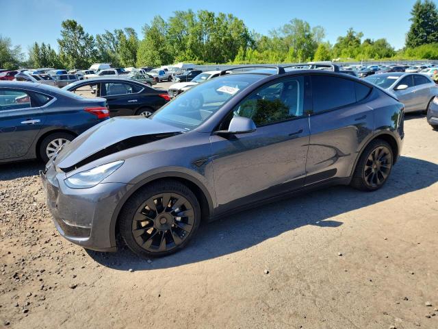  TESLA MODEL Y 2020 Синий