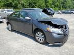 2009 Toyota Camry Hybrid for Sale in Marlboro, NY - Front End