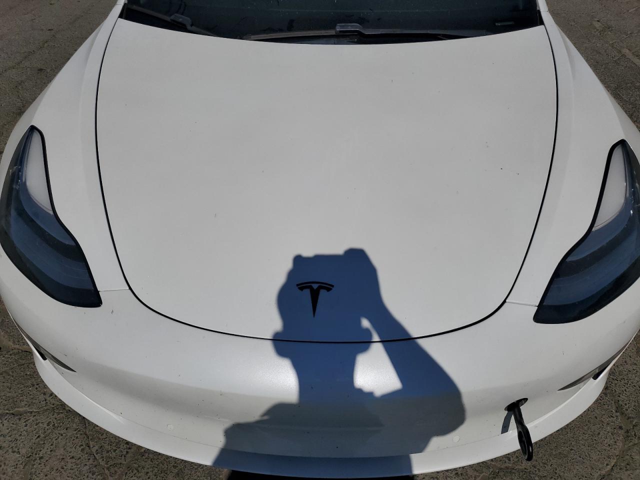 2019 Tesla Model 3 VIN: 5YJ3E1EA8KF407557 Lot: 61616035