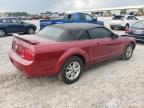 2006 Ford Mustang    for Sale in Madisonville, TN - Front End