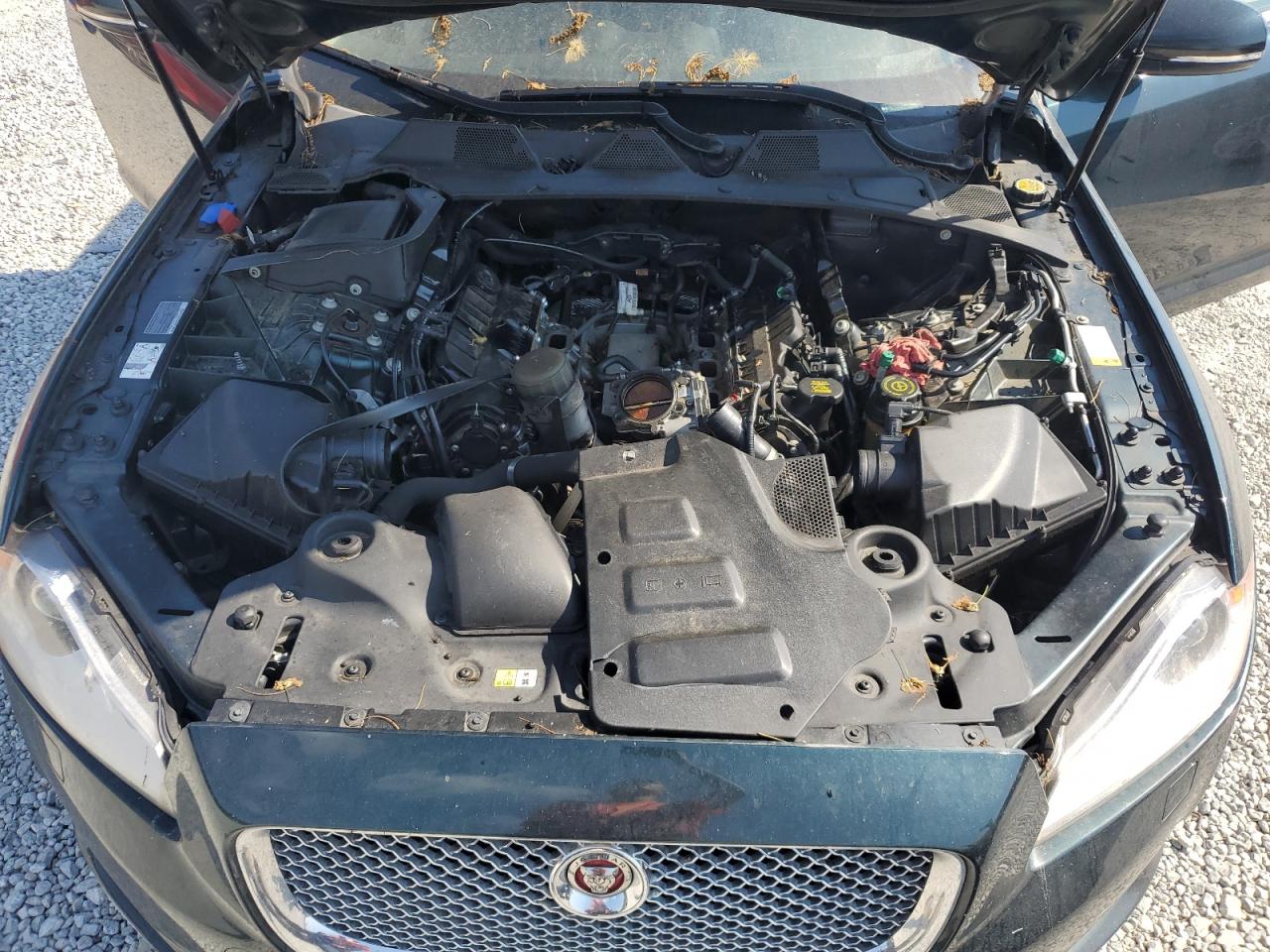 2015 Jaguar Xjl Portfolio VIN: SAJWA2GZ3F8V83733 Lot: 61975205