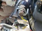2007 Honda Vt750  for Sale in Jacksonville, FL - Front End
