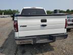 Hillsborough, NJ에서 판매 중인 2014 Ford F150 Supercrew - Burn