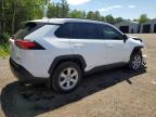 2023 TOYOTA RAV4 XLE   à vendre chez Copart ON - COOKSTOWN