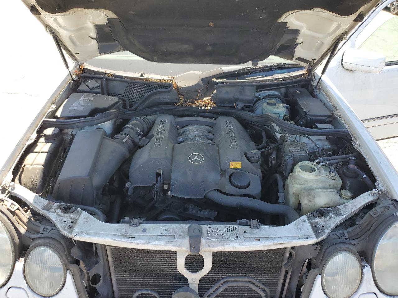 1999 Mercedes-Benz E 320 4Matic VIN: WDBJH82F0XX022271 Lot: 62675895