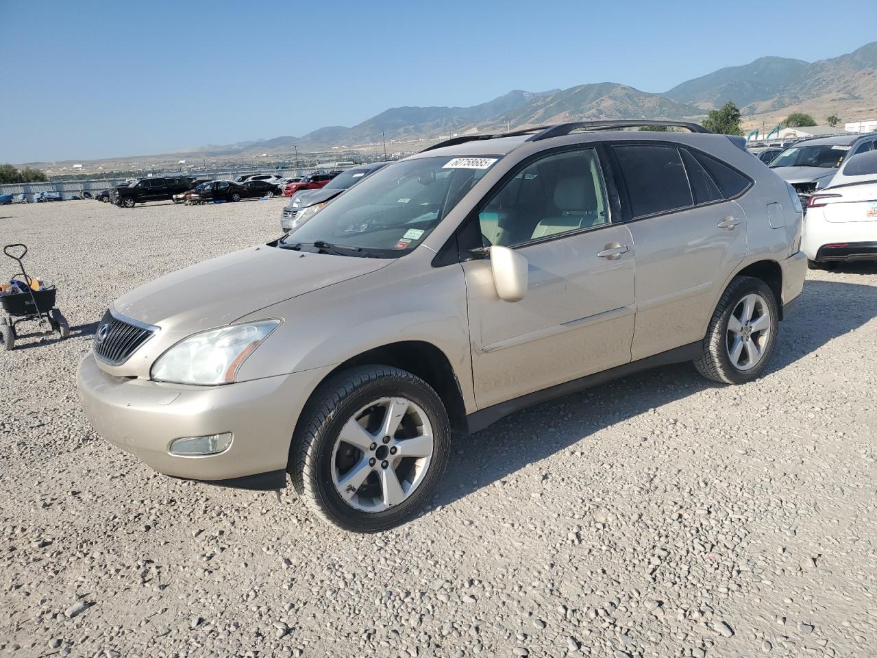 2005 Lexus Rx 330 للبيع في Magna، UT - Side