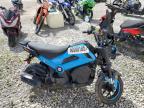 2024 TZTC MS   for sale at Copart FL - MIAMI SOUTH