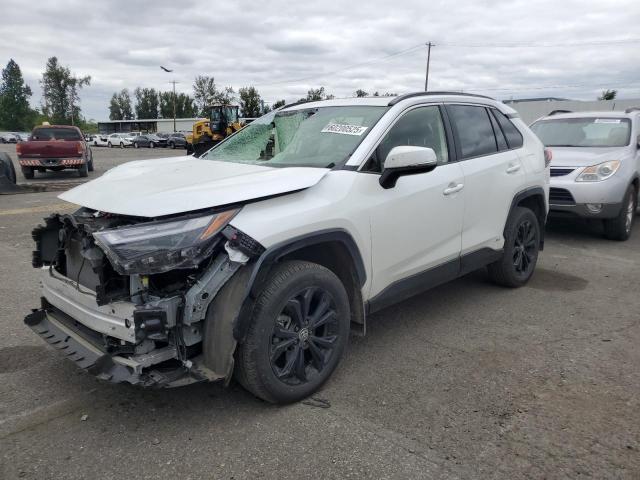 TOYOTA RAV4 SE 2024