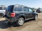 2011 FORD ESCAPE XLT   à vendre chez Copart ON - TORONTO
