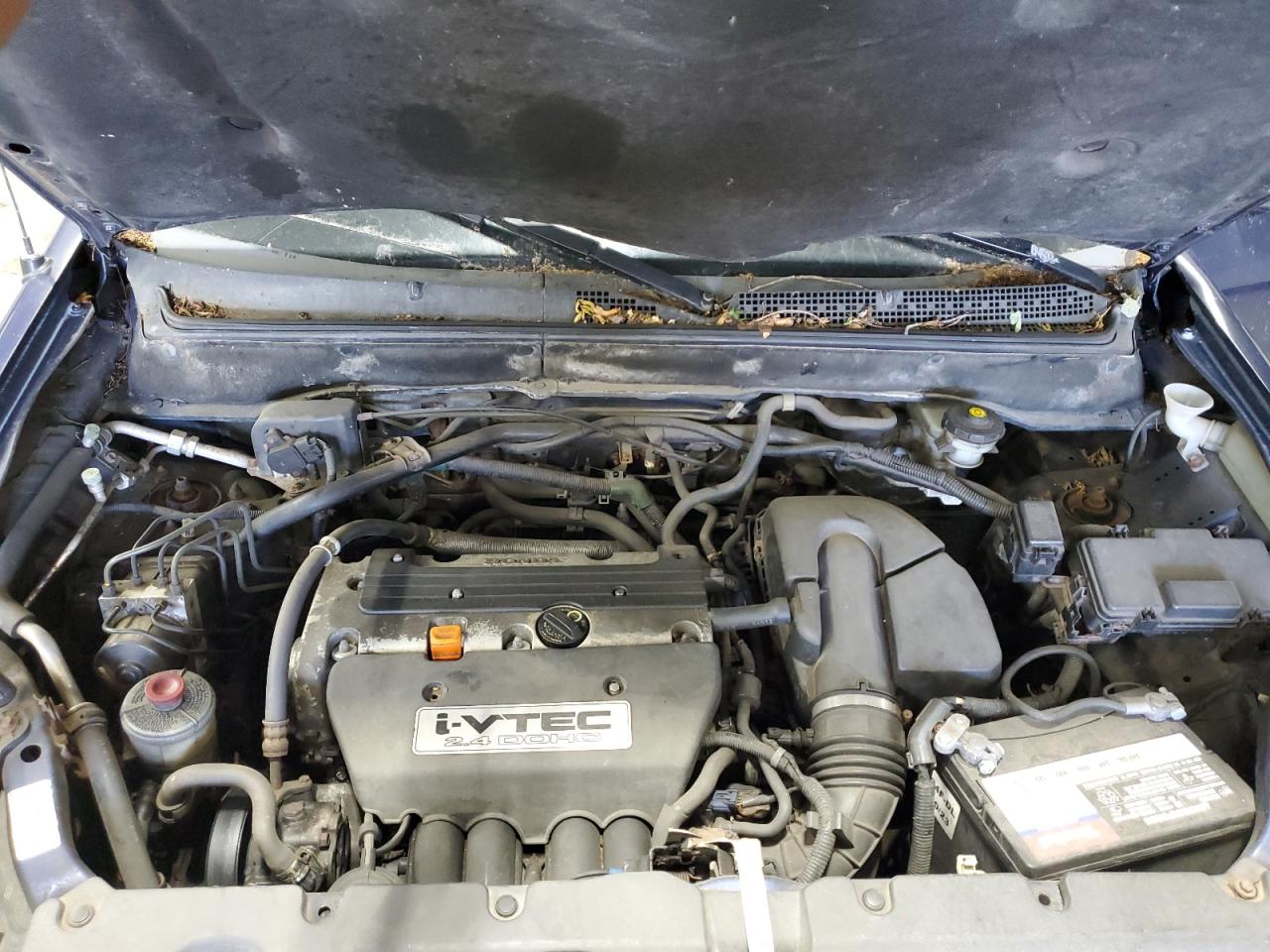 2005 Honda Cr-V Ex VIN: JHLRD78845C054229 Lot: 62259485