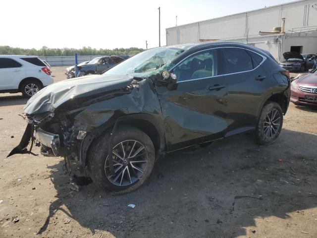 LEXUS NX 350 BAS 2025