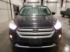 2019 Ford Escape Se for Sale in Avon, MN - Minor Dent/Scratches