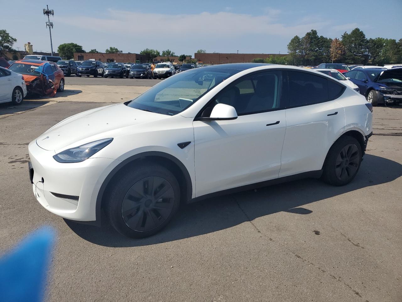 TESLA MODEL Y 2024 VIN 7SAYGDEDXRF210303