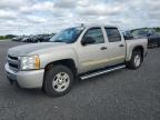 2009 CHEVROLET SILVERADO C1500   for sale at Copart ON - OTTAWA