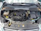 2013 FORD ESCAPE SE   à vendre chez Copart FL - TAMPA SOUTH