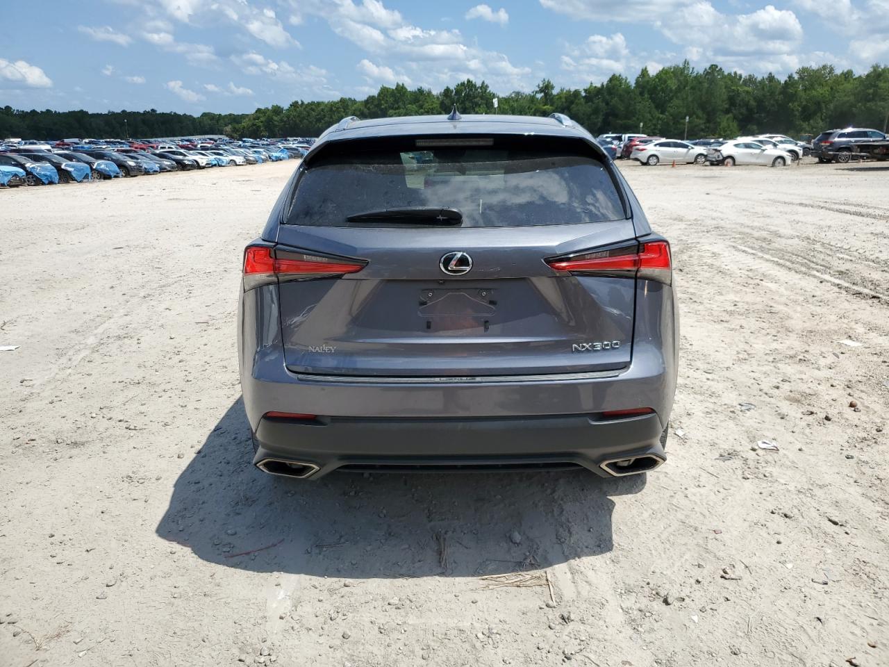 2019 Lexus Nx 300 Base VIN: JTJYARBZ9K2123901 Lot: 62200235