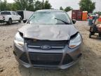 Baltimore, MD에서 판매 중인 2013 Ford Focus Se - Top/Roof