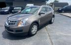 2011 Cadillac Srx Luxury Collection for Sale in Lawrenceburg, KY - Normal Wear