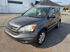 North Billerica, MA에서 판매 중인 2011 Honda Cr-V Se - Normal Wear