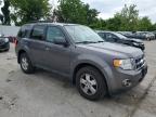 2012 Ford Escape Xlt   for Sale in Bridgeton, MO - Side