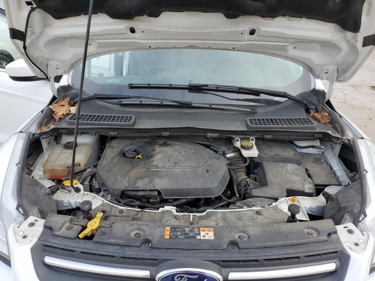 2015 Ford Escape Se VIN: 1FMCU0GX9FUA51238 Lot: 62899275