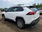 2025 TOYOTA RAV4 XLE   for sale at Copart ON - TORONTO