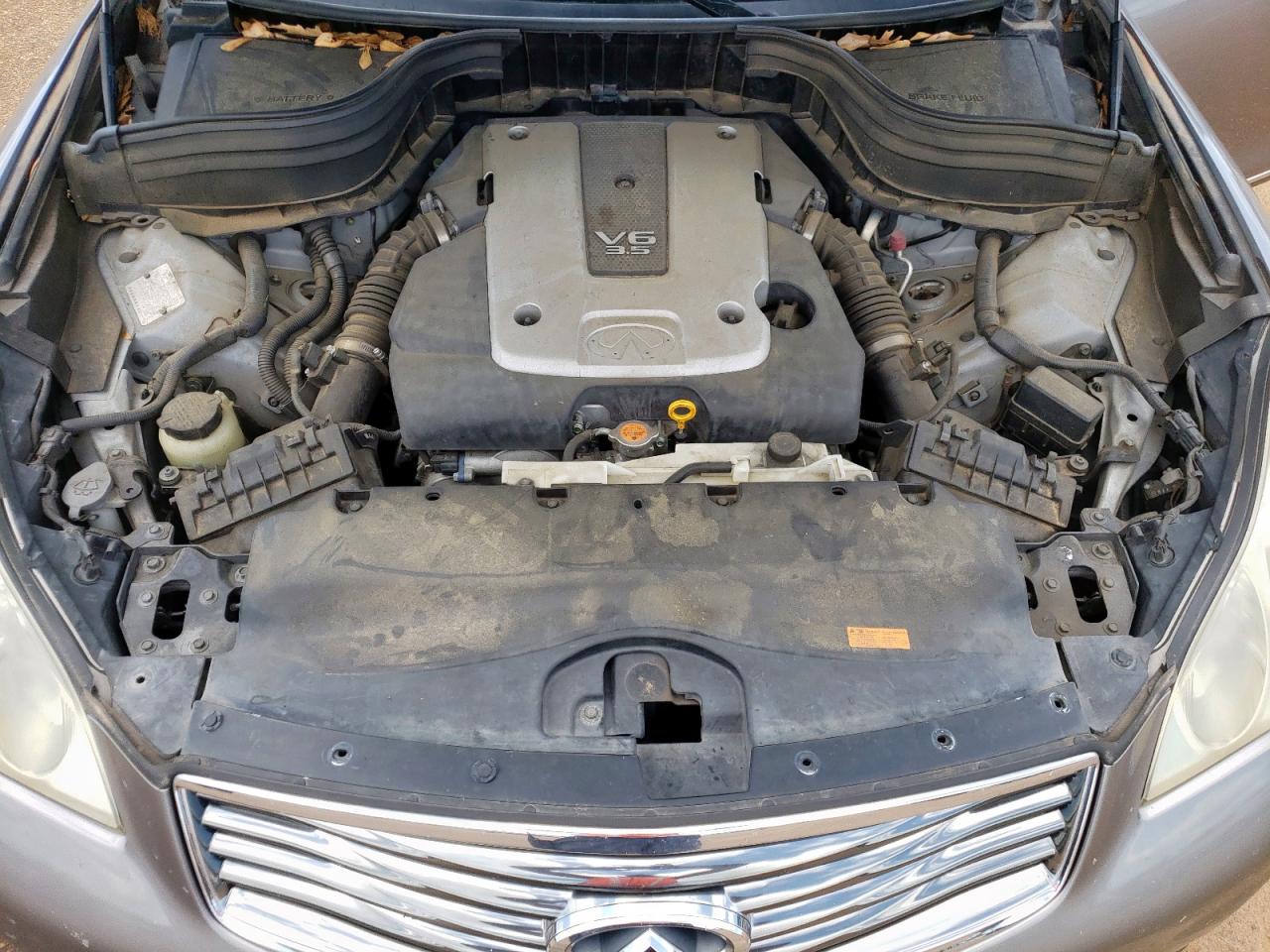 2008 Infiniti Ex35 Base VIN: JNKAJ09E18M304585 Lot: 60441195
