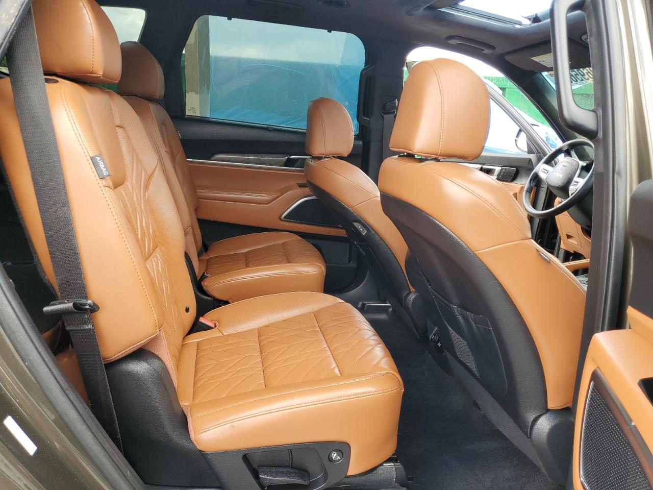 2024 Kia Telluride Sx VIN: 5XYP5DGC1RG545204 Lot: 60695635