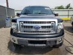 2013 Ford F150 Supercrew for Sale in Woodhaven, MI - Normal Wear