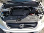 2004 Honda Pilot Exl იყიდება Las Vegas-ში, NV - Front End