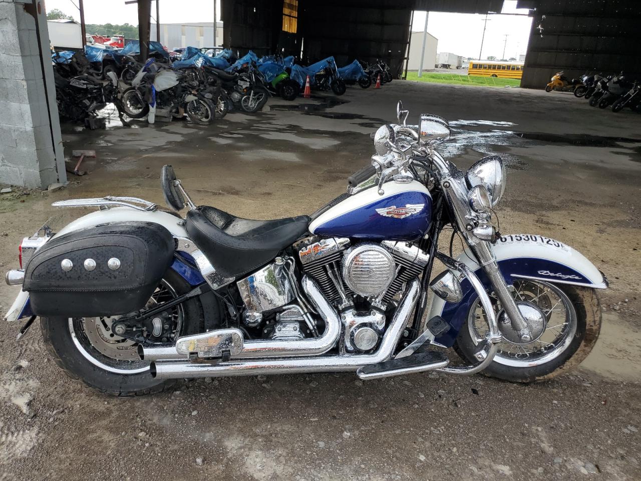 2006 Harley-Davidson Flstni for Sale in Lebanon, TN - Rear End